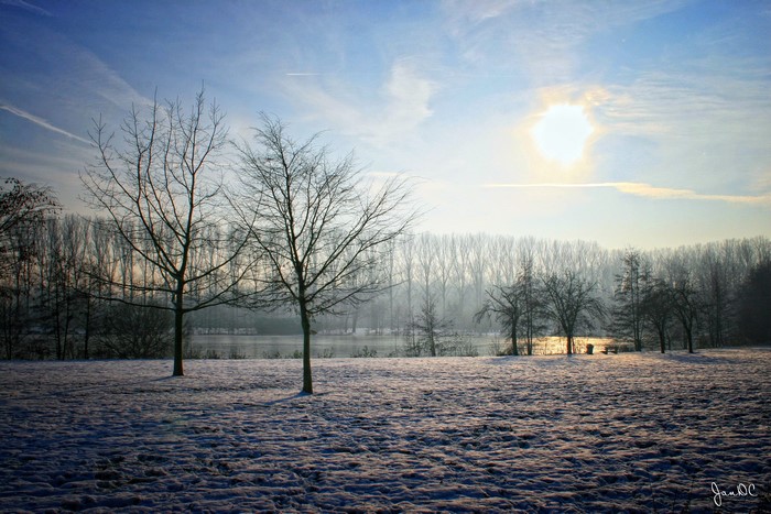 Winter landscape with snow and bare trees