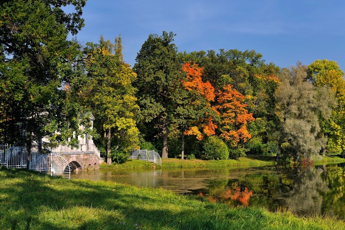 Autumn park with a lake and a bridge in Russia