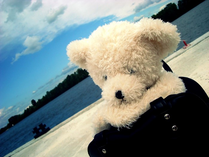 Teddy bear on a pier by the water