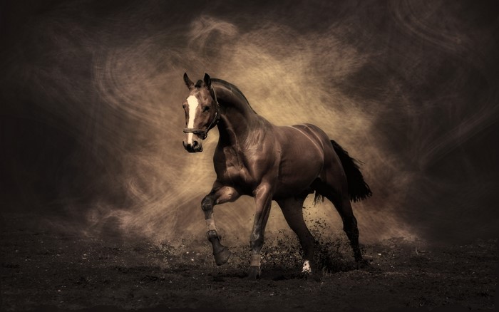 A brown horse running through dirt
