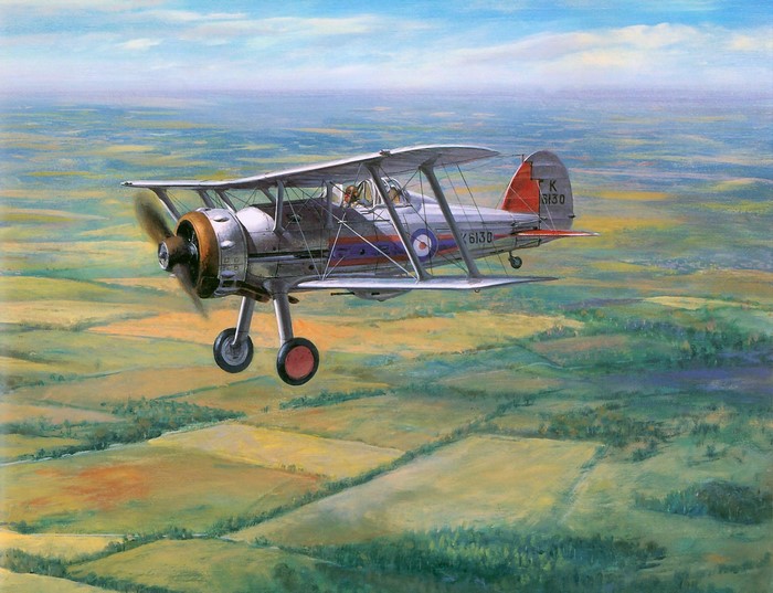 Biplane flying over agricultural fields