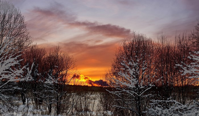 Winter sunset over a snowy field with bare trees
