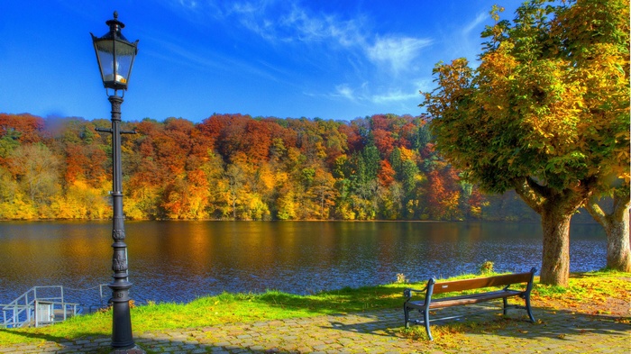 Autumn lake with trees and a lamppost