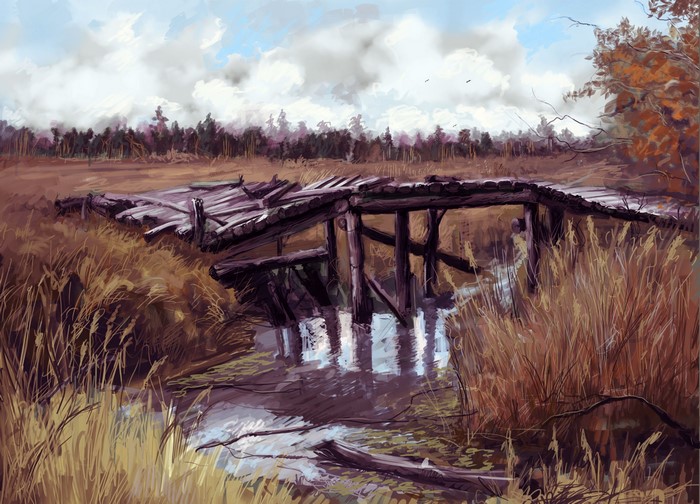 Ruined bridge in a swampy forest