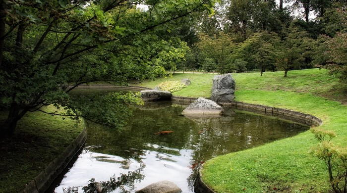 A serene park with a pond and trees