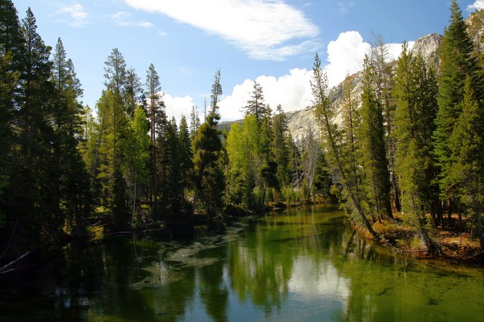 Tuolumne River in Yosemite National Park, California