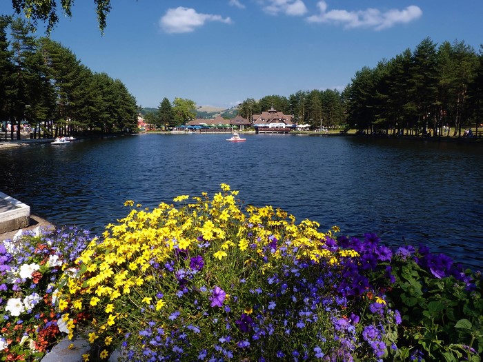 Lake with flowers and boats in Serbia
