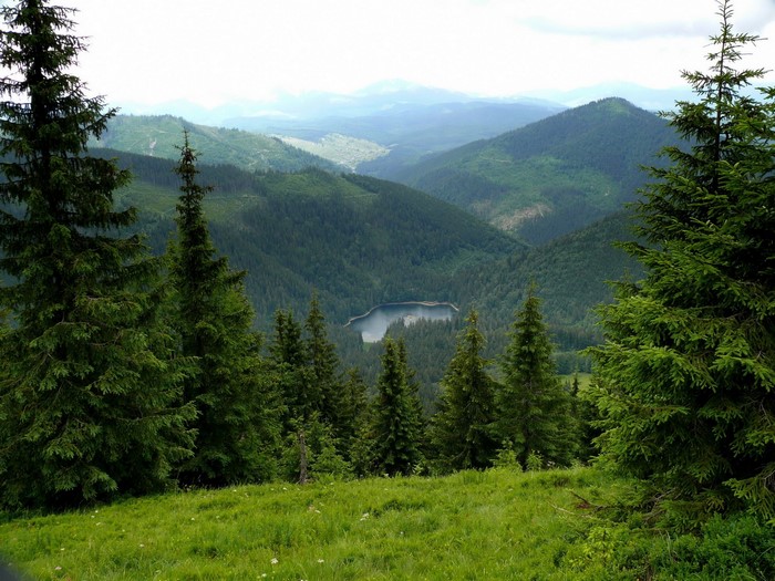 Mountains with a lake and evergreen trees