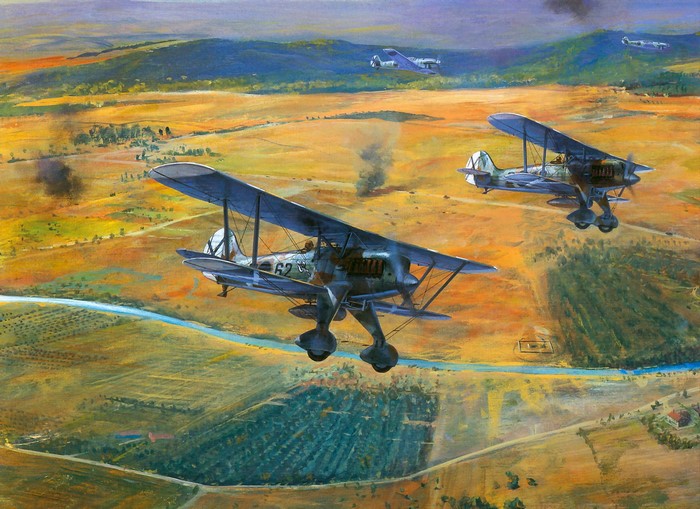 Biplane Aircraft in Formation Over Rural Landscape