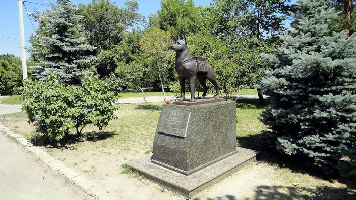 Monument to a dog in Volgograd