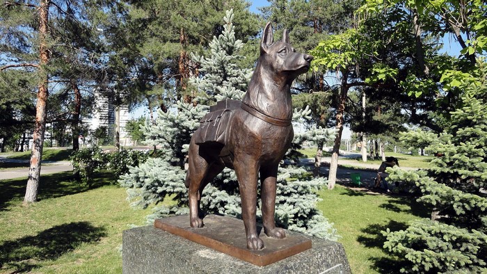 Monument to a dog in Volgograd