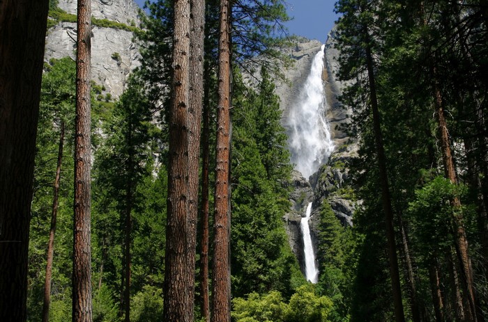 Yosemite National Park Waterfall and Trees