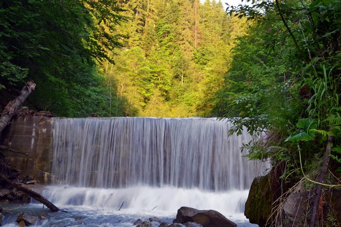 Waterfall cascading over a concrete dam in a forest