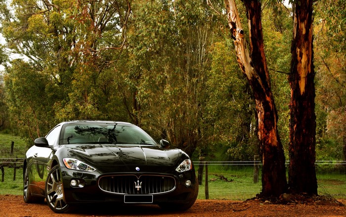 Black Maserati GranTurismo parked in a forest