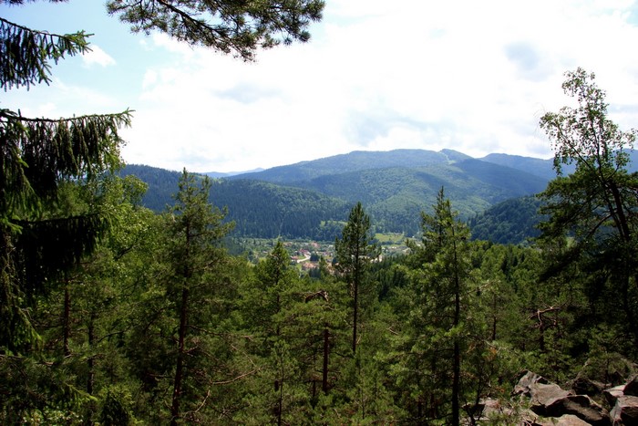 Mountains and forest with a village in the valley