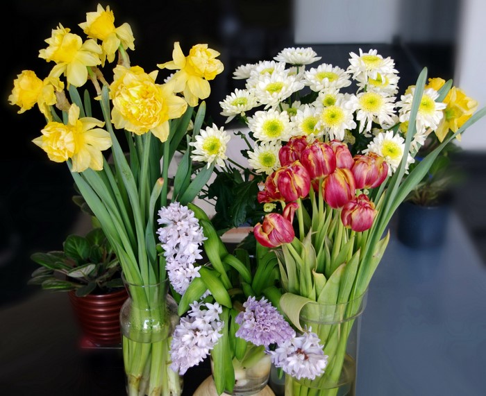 Bouquets of Daffodils, Tulips, Hyacinths, and Daisies