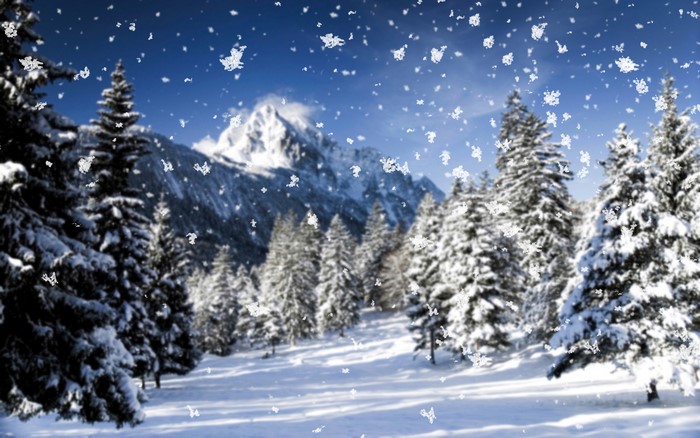 Snowy Mountains and Pine Trees in Winter