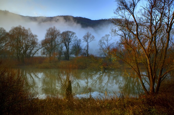 Misty River and Trees in Fog