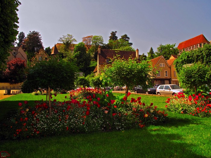 Flower garden with houses and trees in France
