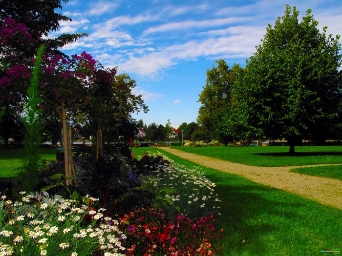 Park with Flowers and Trees