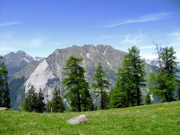 Mountain range with trees in Switzerland