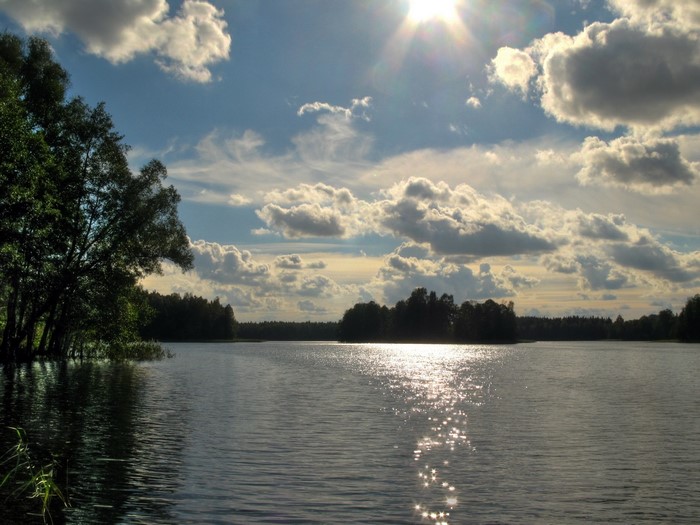 Lake with trees and sunlit clouds