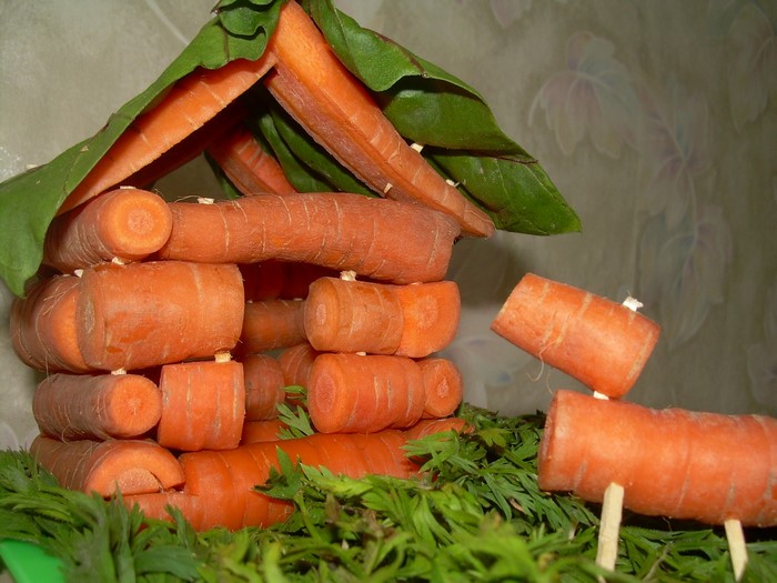 Carrot house made of vegetables