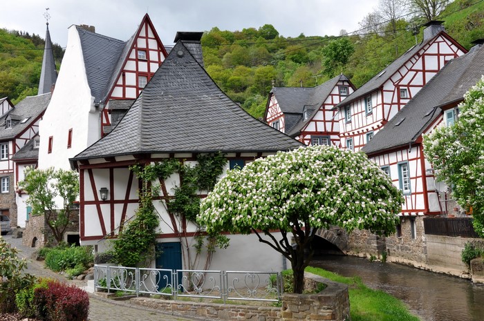Half-timbered houses and a flowering tree in Germany