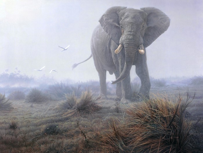 Elephant and birds in a misty landscape