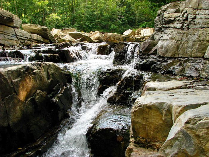 Waterfalls flowing over rocks in a forest
