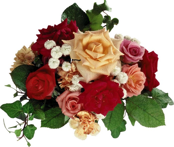 Bouquet of Roses and Ivy