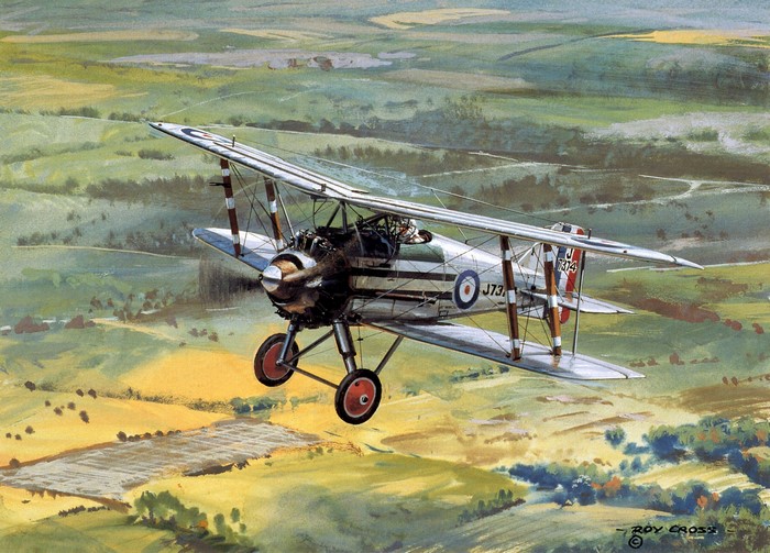 Roy Cross painting of a biplane flying over fields