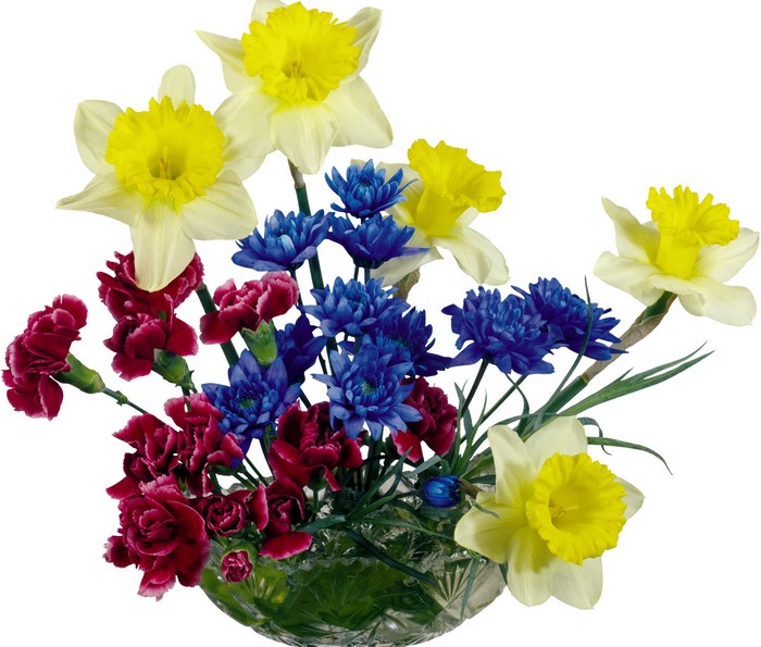 Bouquet of Daffodils, Carnations, and Blue Flowers in a Vase
