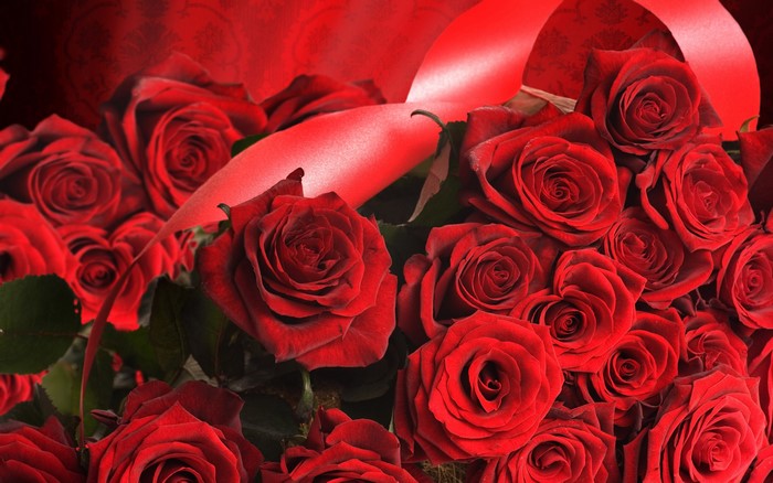 Bouquet of red roses with a red ribbon