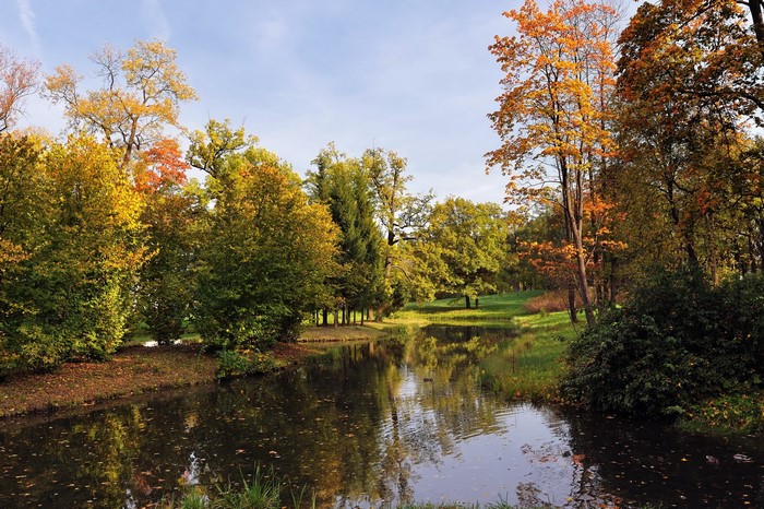 Autumn park with a lake and trees