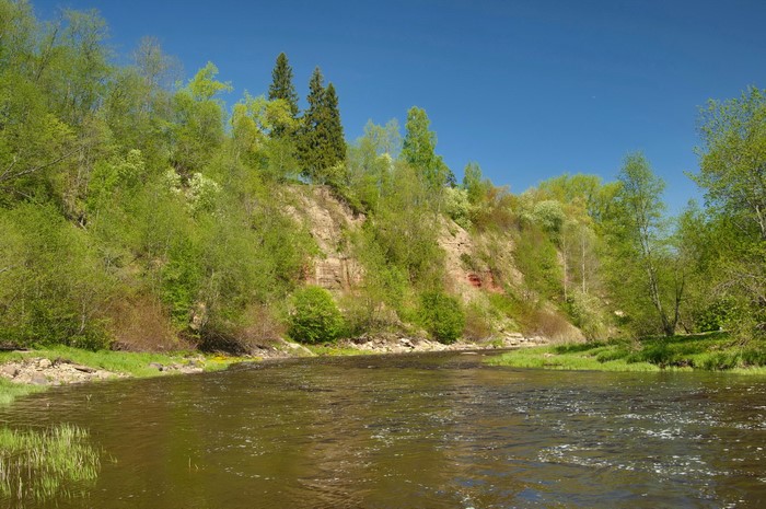 River flowing past a tree-covered cliff under a blue sky