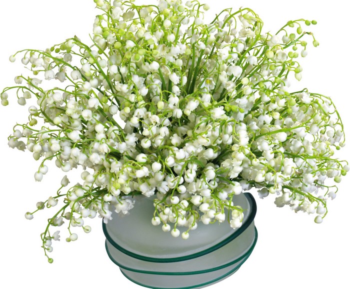 Bouquet of Lily of the Valley flowers in a vase