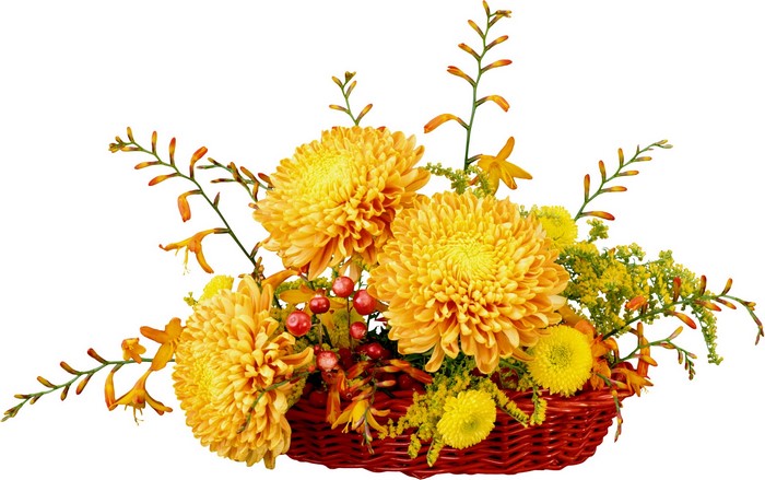 Orange and yellow chrysanthemum bouquet in a red basket