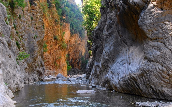 River flowing through a rocky canyon with trees