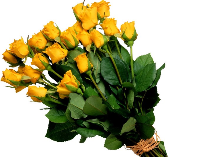 Bouquet of yellow roses