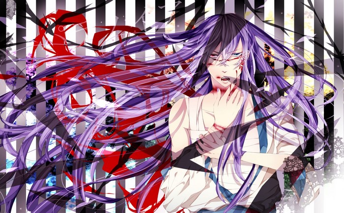 Kamui Gakupo from Vocaloid