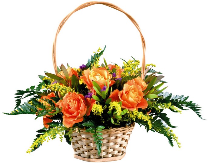 Orange roses in a woven basket with a handle