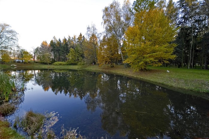 Autumn trees reflected in a lake in Poland