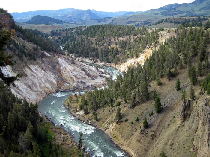 Yellowstone National Park, Wyoming, USA
