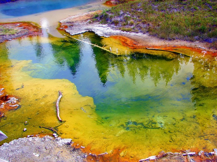 Colorful hot springs in Yellowstone National Park, Wyoming, USA