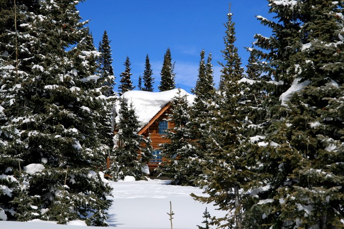 Snowy cabin in a winter forest
