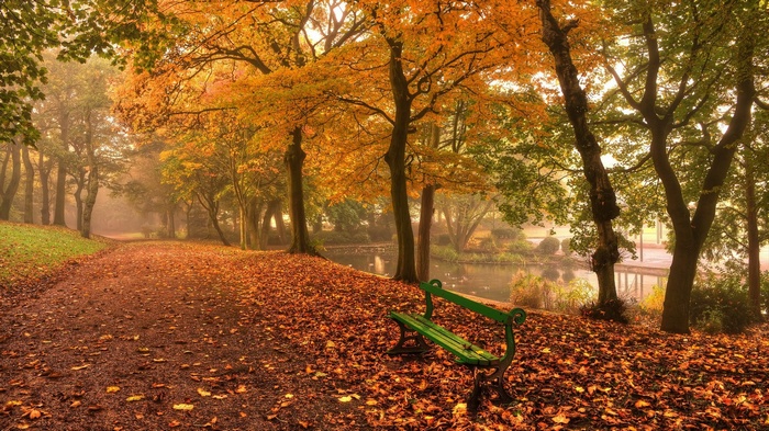 Park path with autumn leaves and a bench