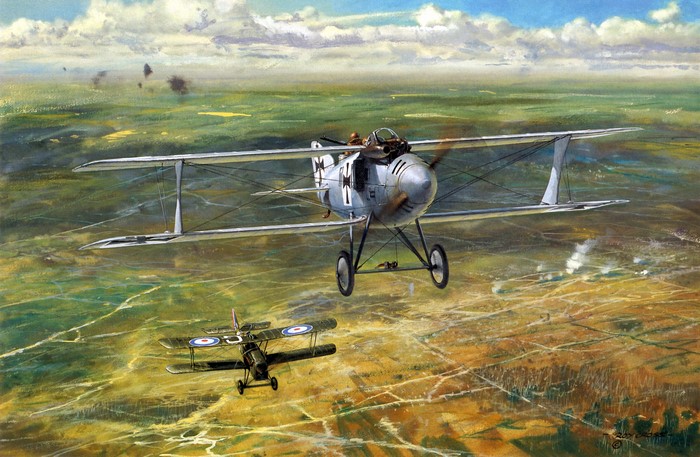 World War I Biplanes in Aerial Combat Painting