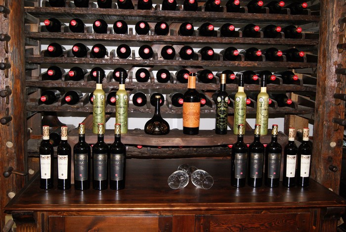 Wine bottles in a cellar