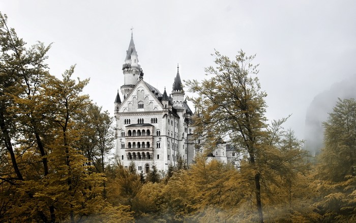 Neuschwanstein Castle in autumn with fog
